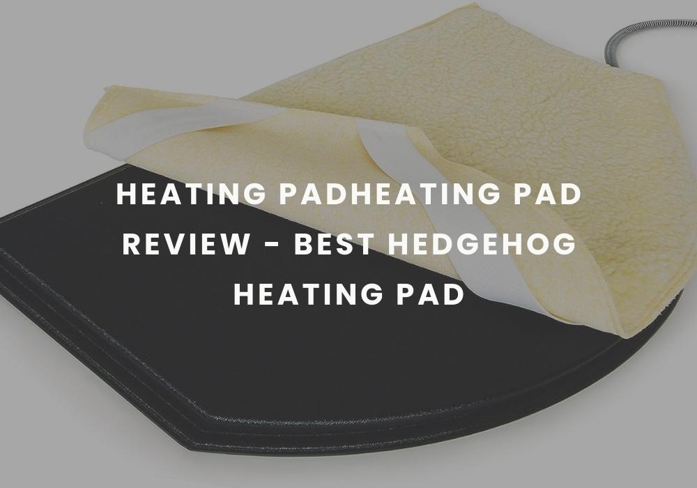 Best hedgehog heating pad - Heating pad review
