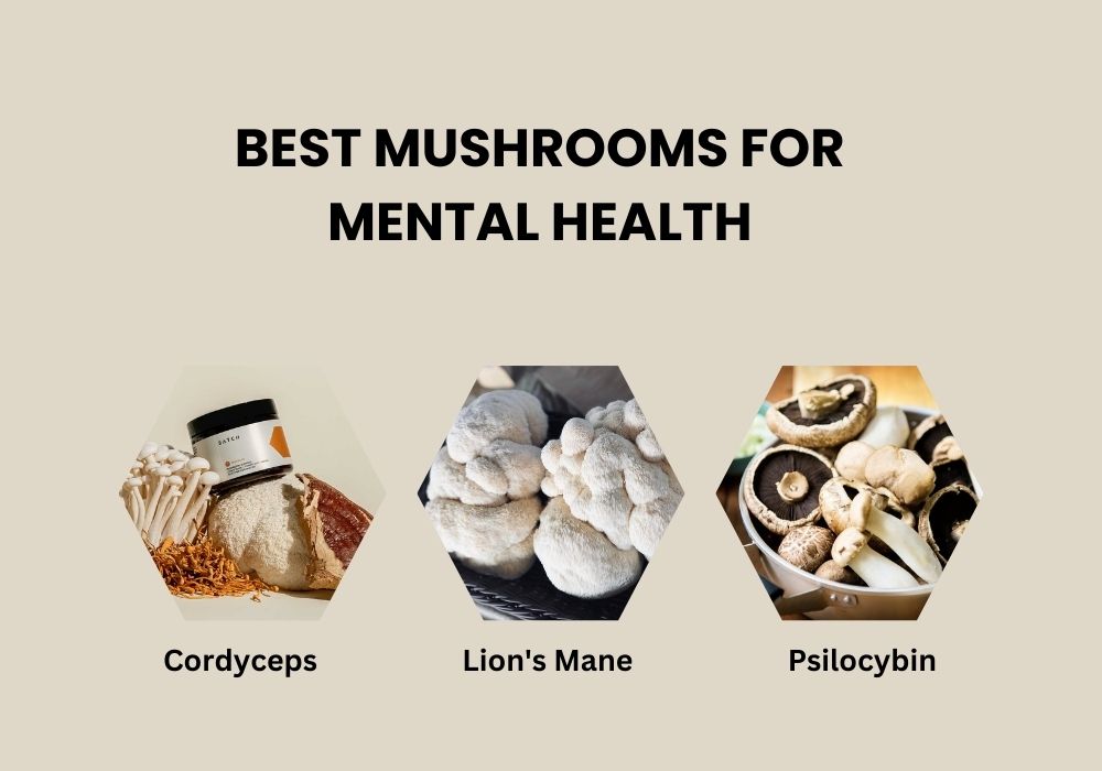 Best Mushrooms for Mental Health