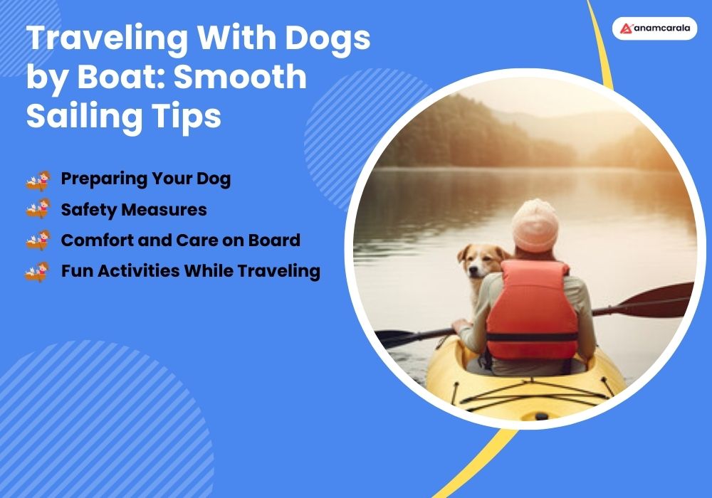 Traveling With Dogs by Boat Smooth Sailing Tips