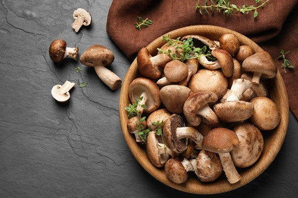 Best Mushroom for Gut Health