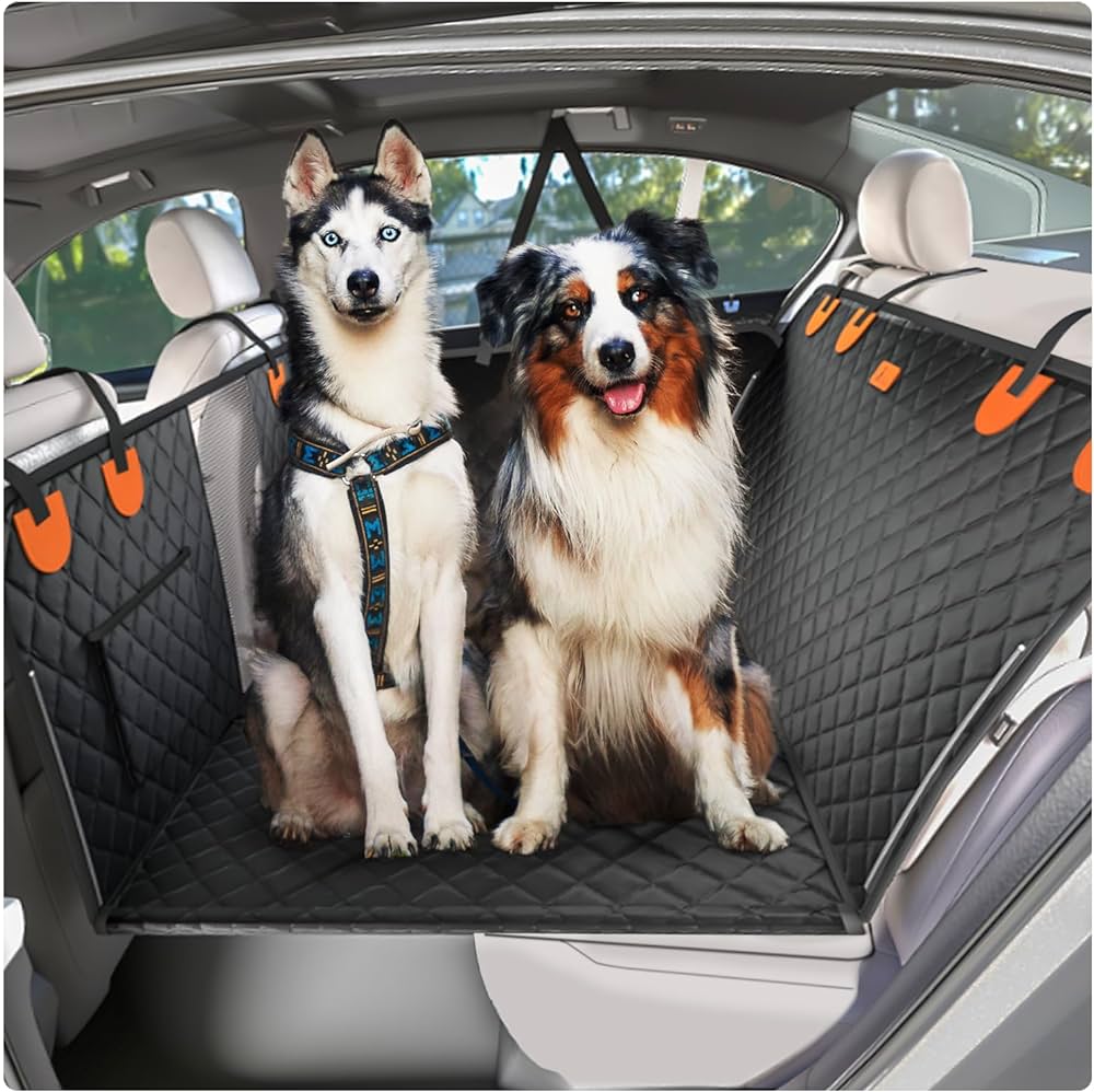 Traveling With Dogs in Cars