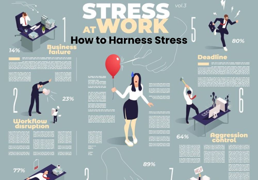 How to Harness Stress