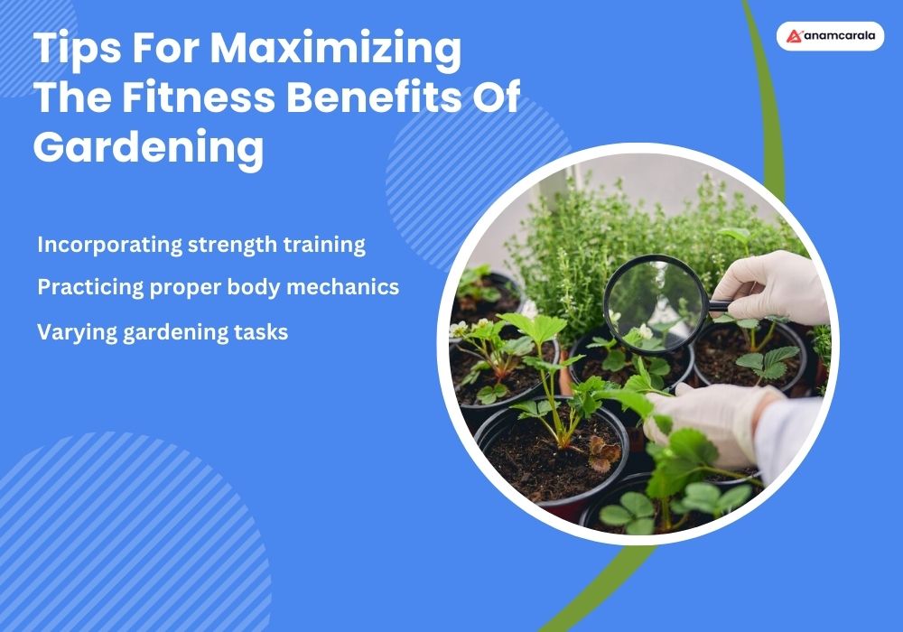 The Fitness Benefits Of Gardening